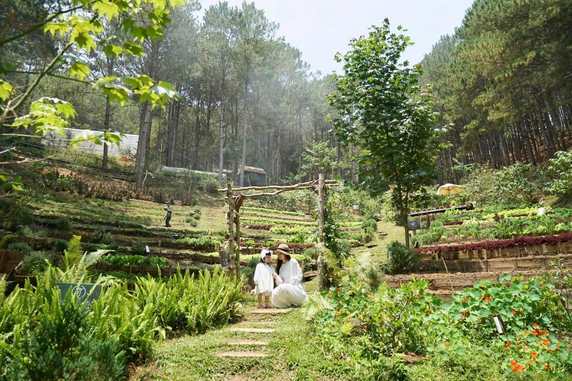 Mo Stay - Forest Resort Da Lat Buitenkant foto