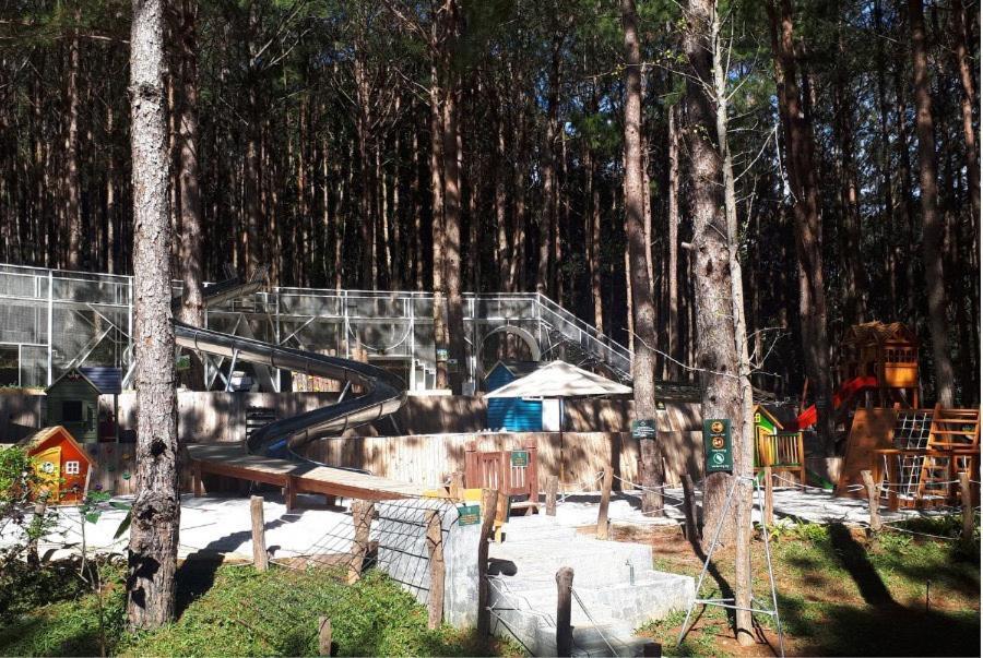 Mo Stay - Forest Resort Da Lat Buitenkant foto