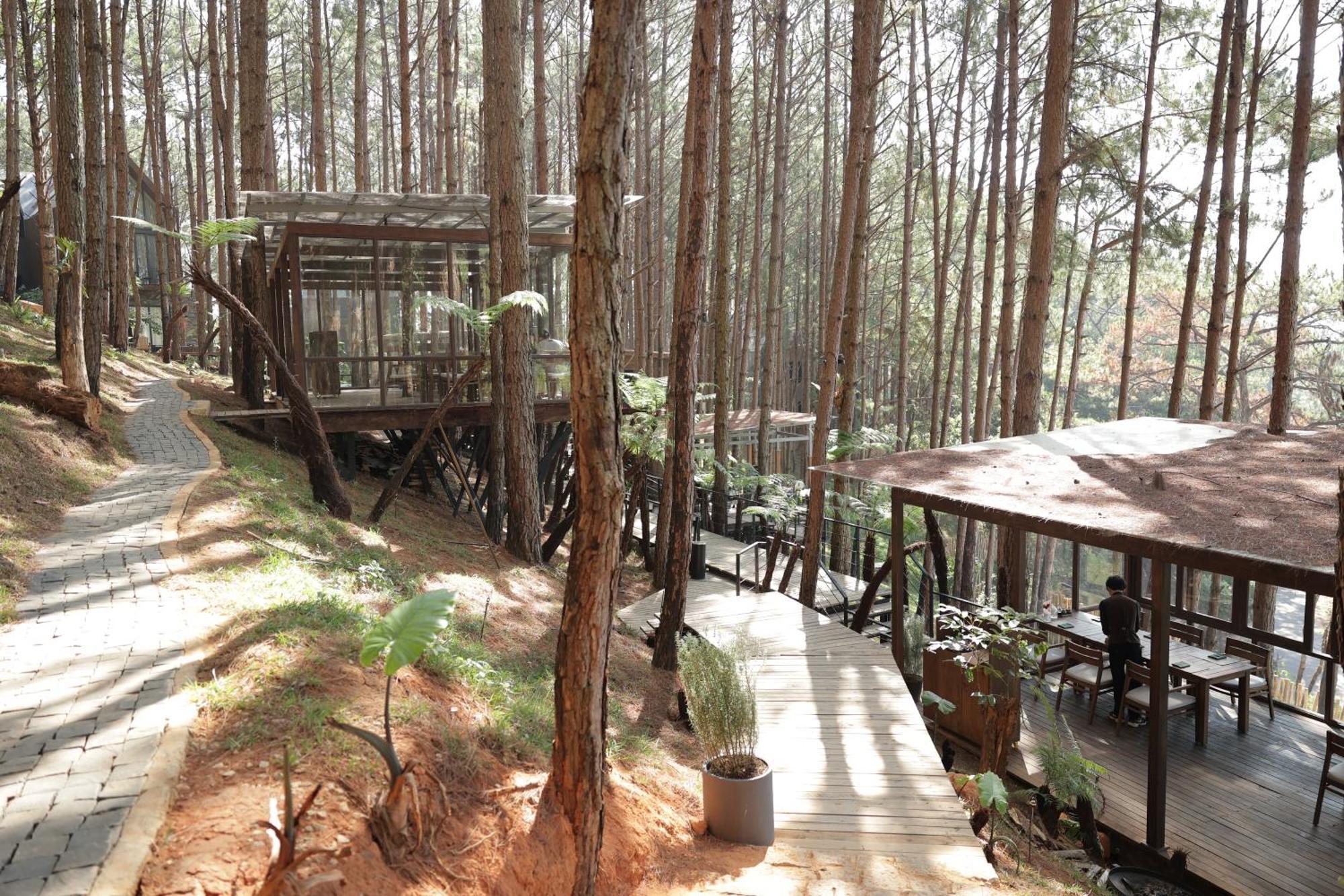 Mo Stay - Forest Resort Da Lat Buitenkant foto