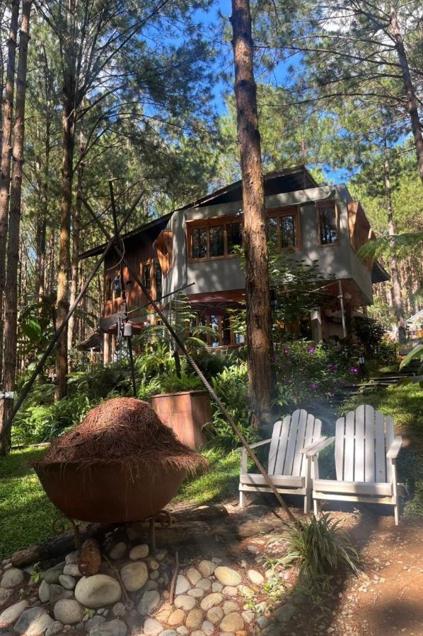 Mo Stay - Forest Resort Da Lat Buitenkant foto