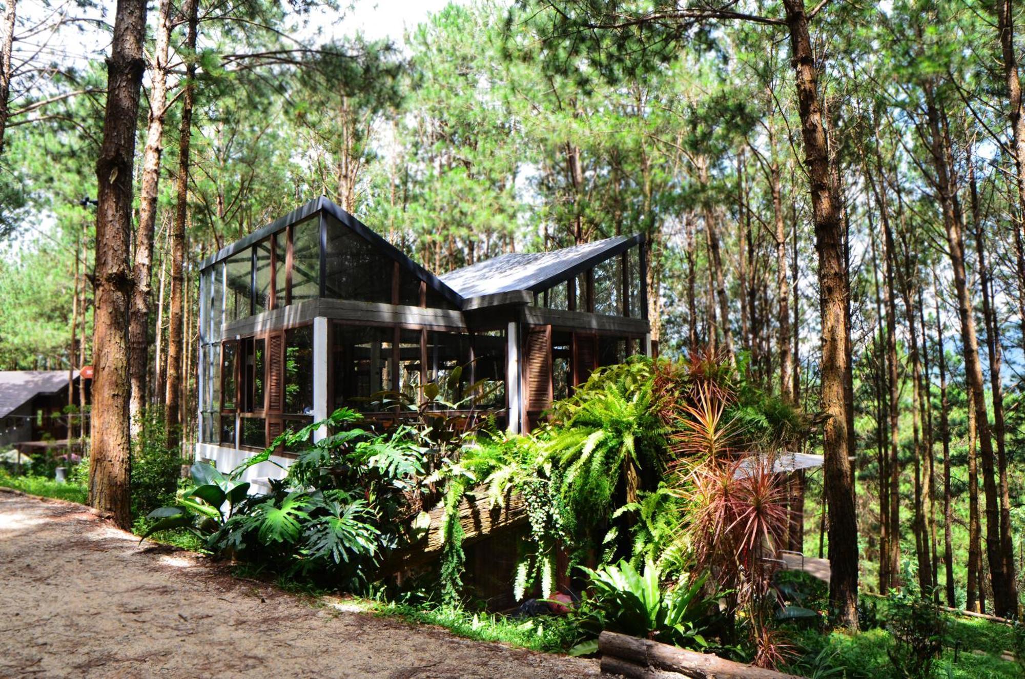 Mo Stay - Forest Resort Da Lat Buitenkant foto