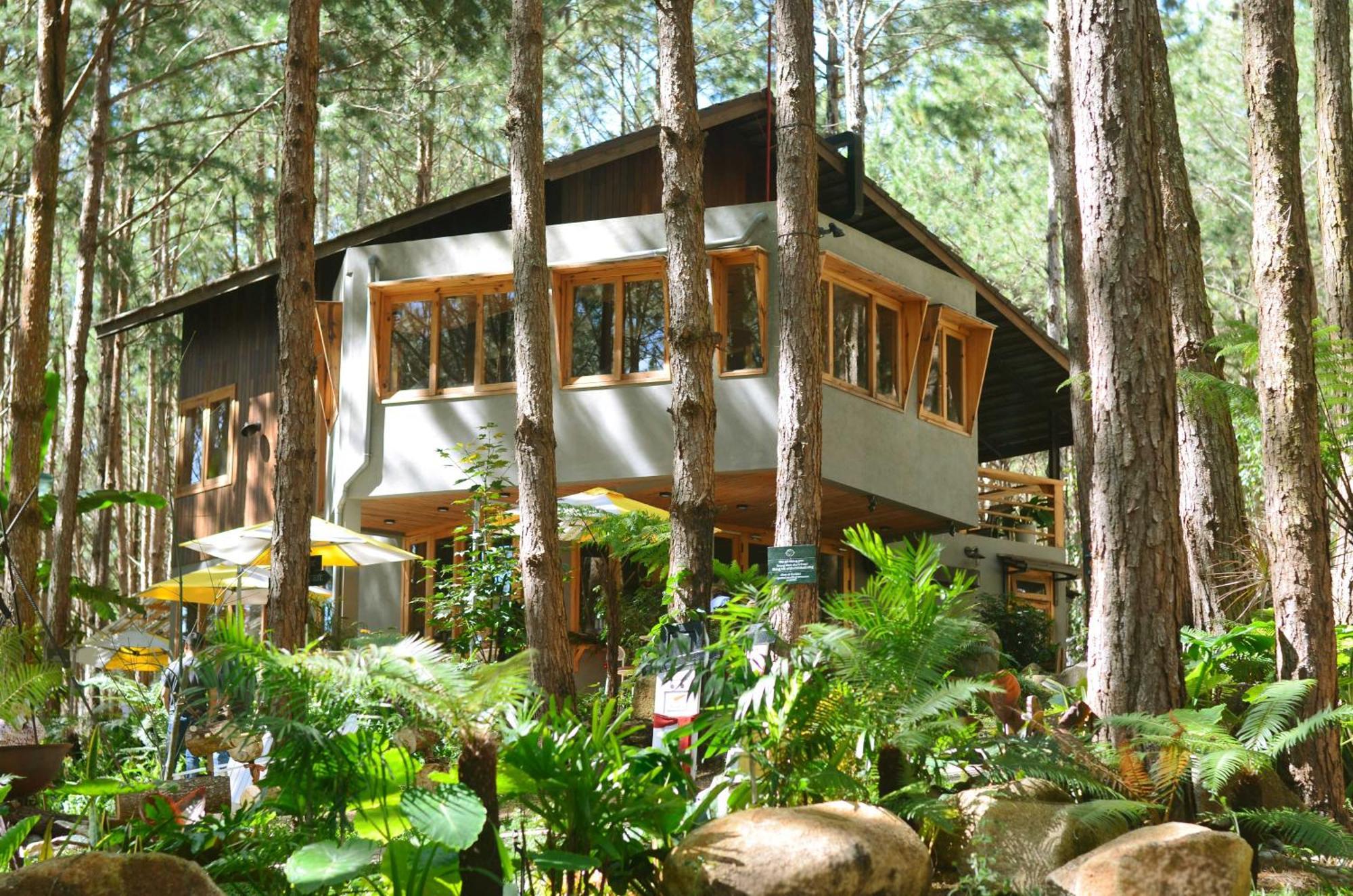 Mo Stay - Forest Resort Da Lat Buitenkant foto