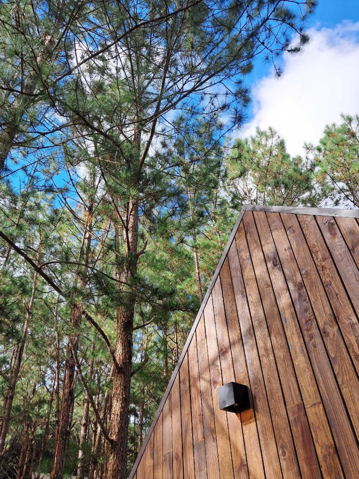 Mo Stay - Forest Resort Da Lat Buitenkant foto